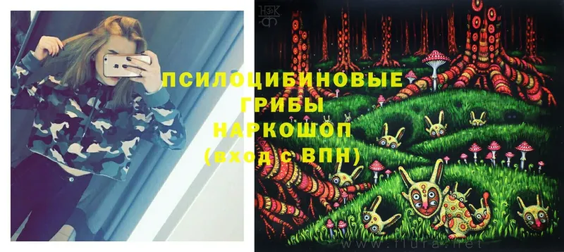 где купить наркоту  сайты даркнета телеграм  Псилоцибиновые грибы Psilocybine cubensis  Краснослободск 